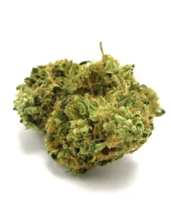 Afgoo Marijuana Strain