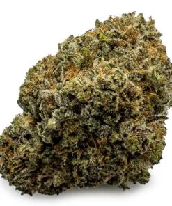 Astro Cookies Weed Strain