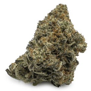 Biscotti Marijuana Strain UK