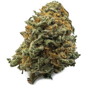 Black Cherry Gelato Weed UK