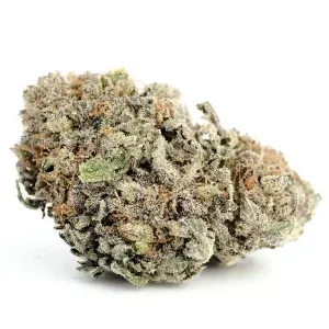 Blackwater Cannabis Strain UK