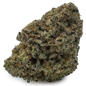 Dolato Marijuana Strain