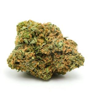Nuken Marijuana Strain UK