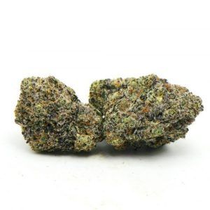 Platinum Oreo Weed Strain