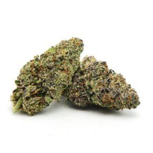 Purple Alien Kush Marijuana Strain UK