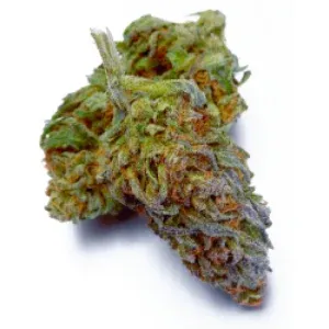 Purple Punch Weed Strain