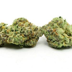 Rockstar Punch Hybrid Marijuana