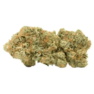 White LSD Marijuana Strain