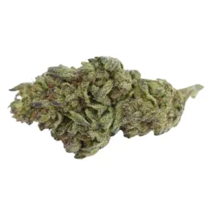White Rhino Marijuana Strain