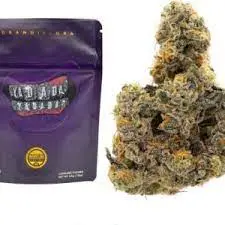 Wild Thornberrys Strain